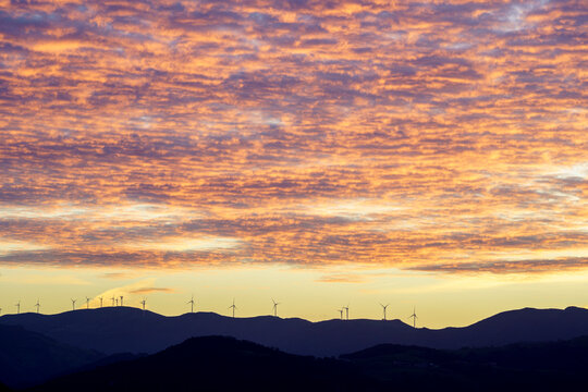 Wind farm at sunset