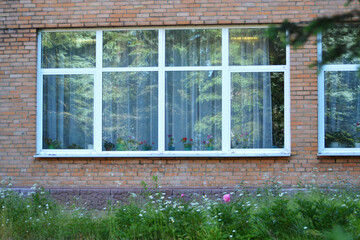 Reflexion of a garden on the window