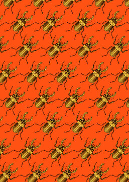 Ornate Beetle Pattern in retro colours