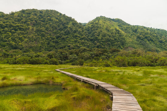 Wooden boardwalk towards forested hills