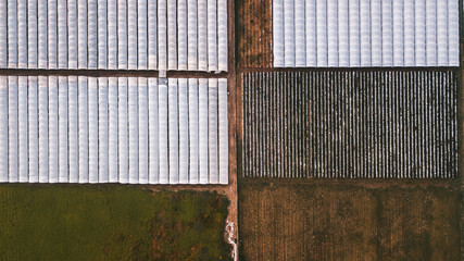 greenhouse farm from above, aerial view
