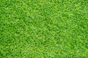 Fototapeta premium Green grass texture for background. Green lawn pattern and texture background.