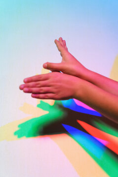 Rainbow Bird Puppet
