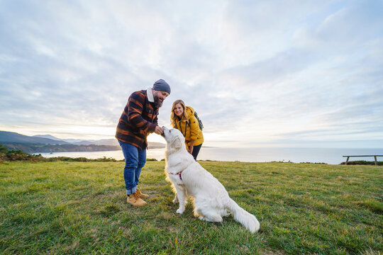 Couple with dog on meadow