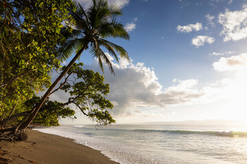 Costa Rica Beach wave Landscape at dawn