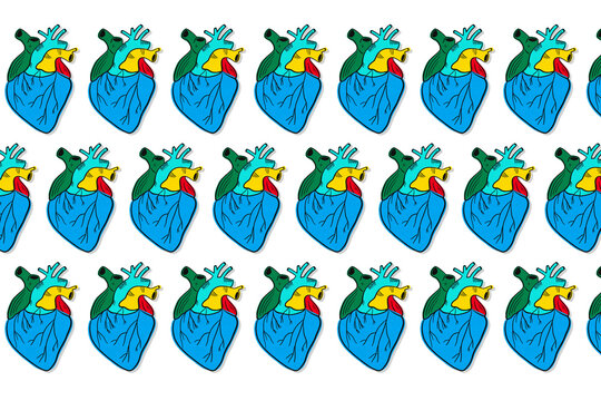 Anatomical heart illustration 