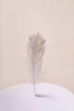Feather on pedestal