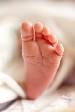Closeup of newborn Asian baby's feet