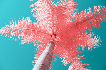 Infrared photography of Palm tree