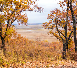 autumn in the forest