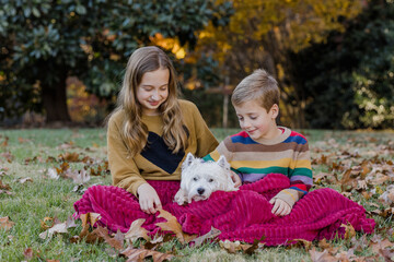 Two children and a dog on a blanket