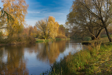 Fototapeta na wymiar Autumn foliage casts reflection on the calm waters