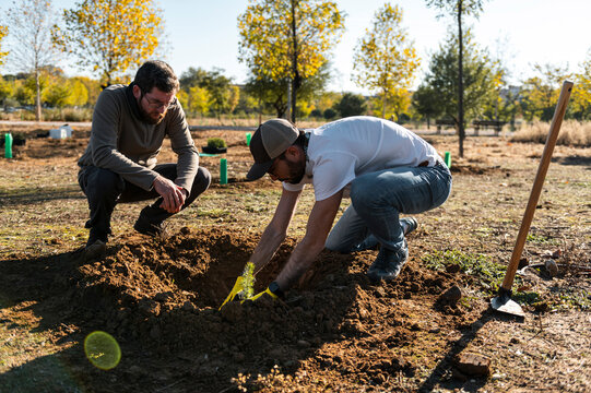 Volunteers group in cooperative teamwork to plant trees