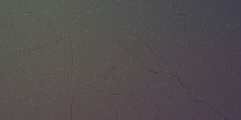 Scary dark background for horror. Grunge wallpaper, dust. Material creases. 