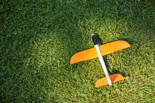 Toy plane on grassland under sunlight.