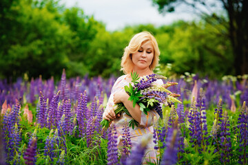 Portrait of a young plump blonde woman in a blooming field of lupines. A woman collects a bouquet of lilac-pink flowers in a meadow.