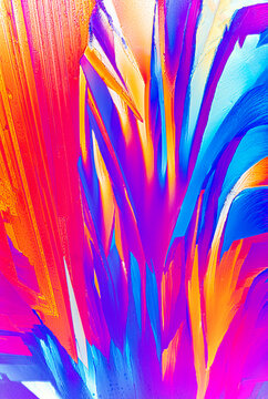 Beta Analine and L-Glutamin crystals