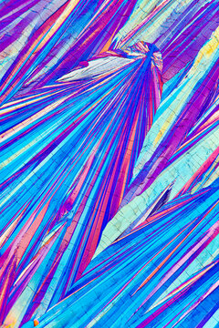 Beta Analine and L-Glutamin crystals