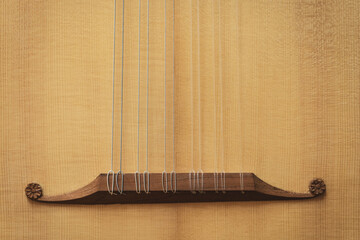 Lute of the 16th century. Close-up details.