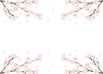 桜の花 水彩画　背景素材／Cherry blossom watercolor background material