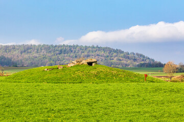 Obraz premium Passage grave on a hill in a rural spring landscape