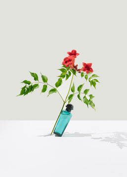 Perfume and flower