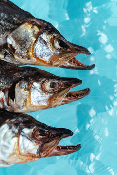 Dry salted fish smelt.