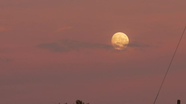 おぼろ月 Stock ビデオ : HD および 4K のビデオクリップ 56 本