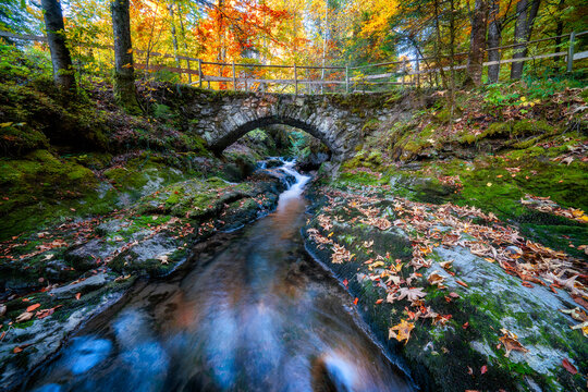 Idyllic stream and bridge in fall.