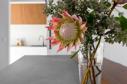 Pink protea flower on a kitchen counter