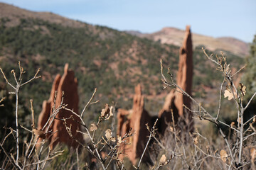 Beautiful landscape scenic view over Red Rocks desert with cactus, mountains, valley and nature and...