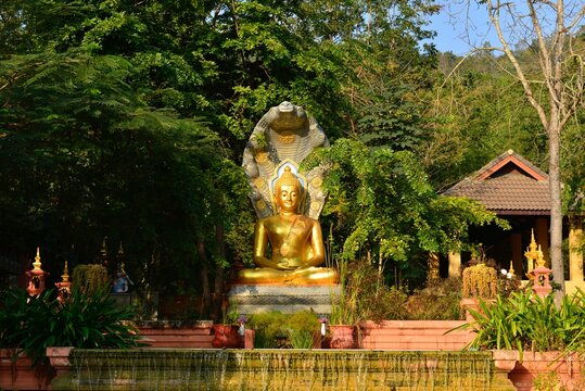 Golden Buddha statue near stair up to the hill to see the Big Buddha statue and nice scenery of Lampang city. Wat Phra That Doi Phra Chan, Thailand.