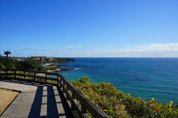Obraz premium a fascinating walkway at a seaside cliff