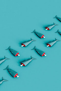 a row of dead half Sharks