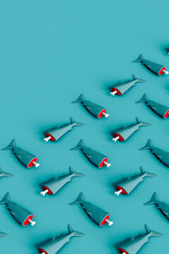 half sharks with copy space. ecology problem concept.
