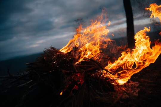 campfire in the wild