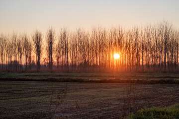 Tramonto