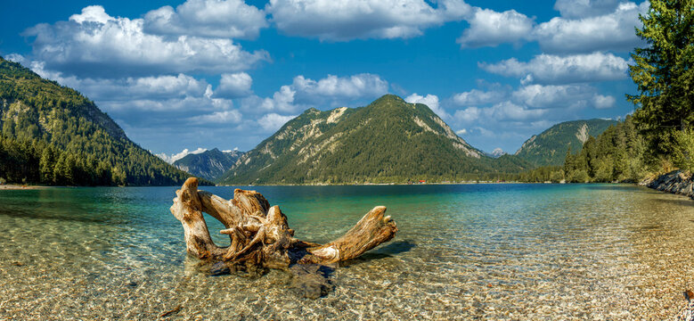 Plansee Panorama 