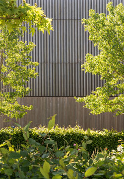 Wood cladding and greenery