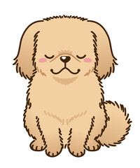 おじぎするペキニーズ（レッド系）