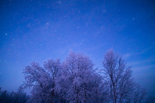 Hues of the Polar Night