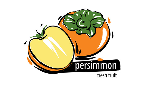 Drawn vector persimmon on a white background