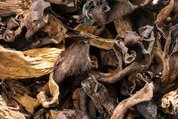 Detailed and large close up shot of dried autumn trumpet mushrooms.