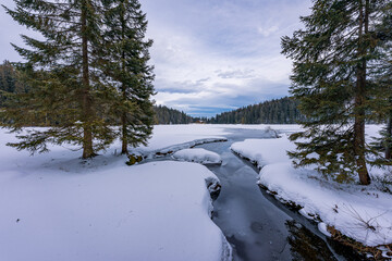 Winter am Großen Arbersee im Bayerischen Wald