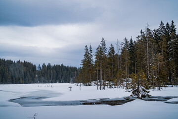 Winter am Großen Arbersee im Bayerischen Wald