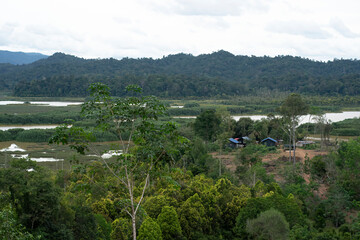 Aerial view of a small settlement of indigenous people on the bank of Lake Chini in Pahang