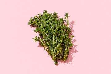 twigs of fresh thyme