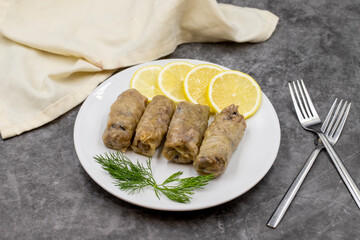 Stuffed cabbage leaves, in a ceramic plate. Vegan cabbage rolls, cooked cabbage leaves, wrapped around a filling of rice, onions and spices. (Lahana sarması) Horizontal view. Close up