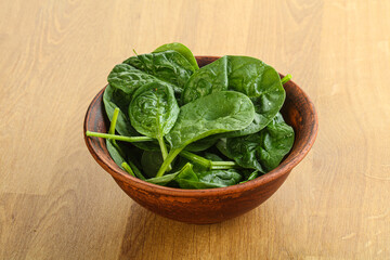 Fresh green spinach leaves in the bowl