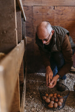 Older man working on chicken farm.